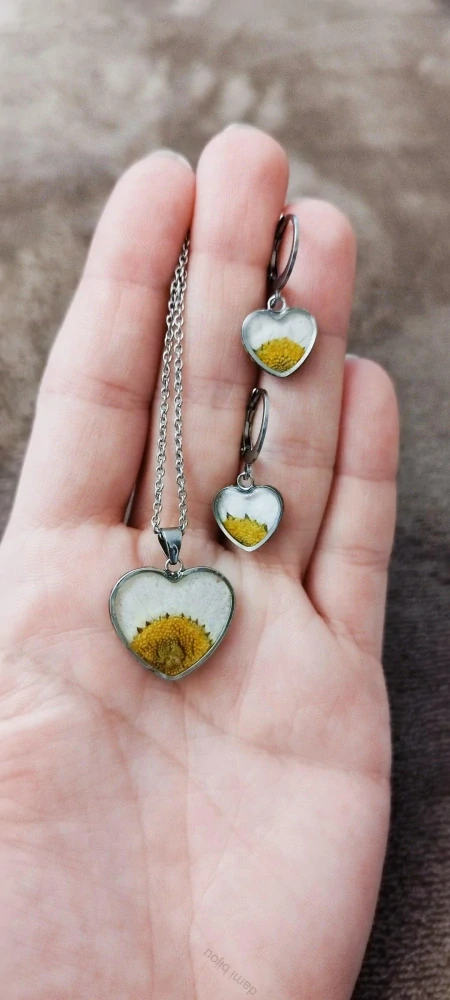 Kopretina - květinová sada