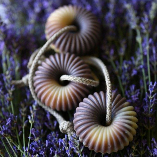 TĚLO - LEVANDULE NA PROVAZE