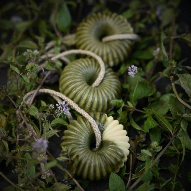 TĚLO - LED NA PROVAZE