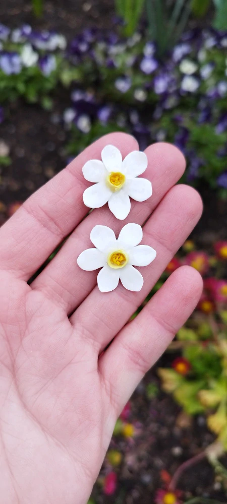 Narcis PUZETOVÁ NÁUŠNICE 