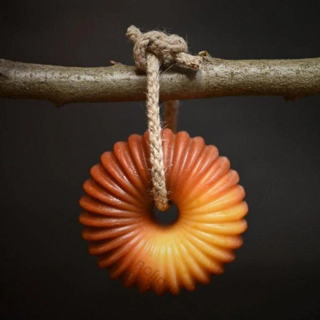 TĚLO - ROOIBOS NA PROVAZE