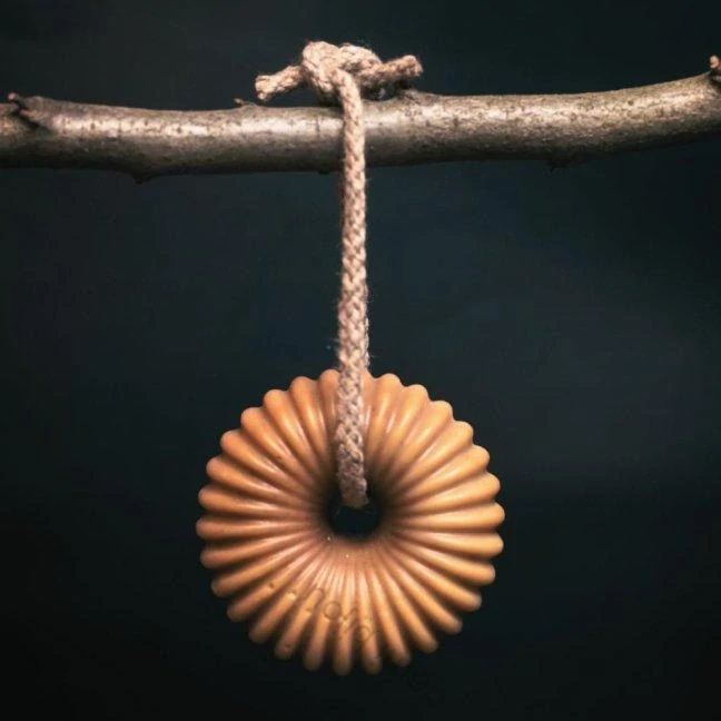 TĚLO - MED NA PROVAZE