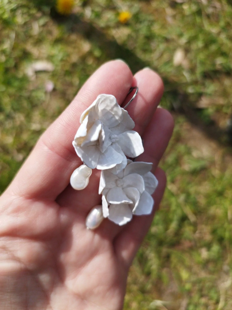 Hortenzie NÁUŠNICE 