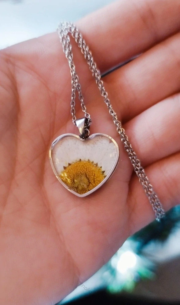 Kopretina - květinová sada