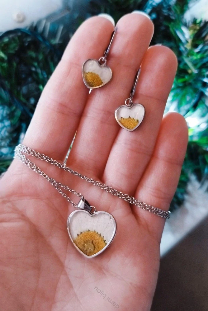 Kopretina - květinová sada