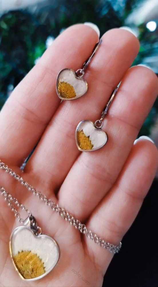 Kopretina - květinová sada