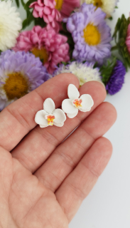 Orchidej