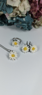 Sedmikrásky - květinová sada