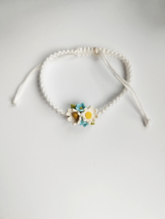 Sedmikrásky a pomněnky